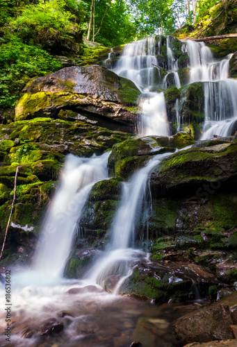 Fototapeta Naklejka Na Ścianę i Meble -  cold waters of mighty waterfall Shypot. beautiful nature summer scenery among forest. one of the most visited locations in Carpathian mountains of Ukraine