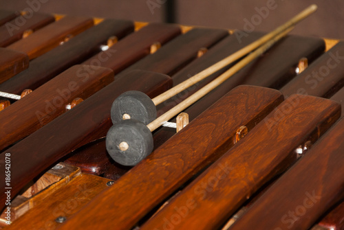 National instrument of Guatemala made with Hormigo, Platymiscium dimorphandrum  wood the marimba keyboard.  photo