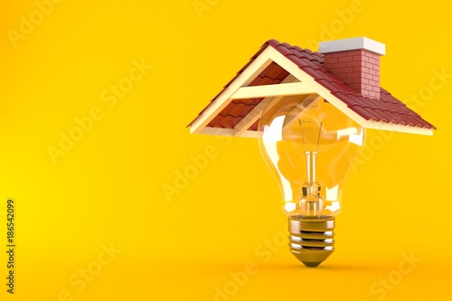 Light bulb with roof