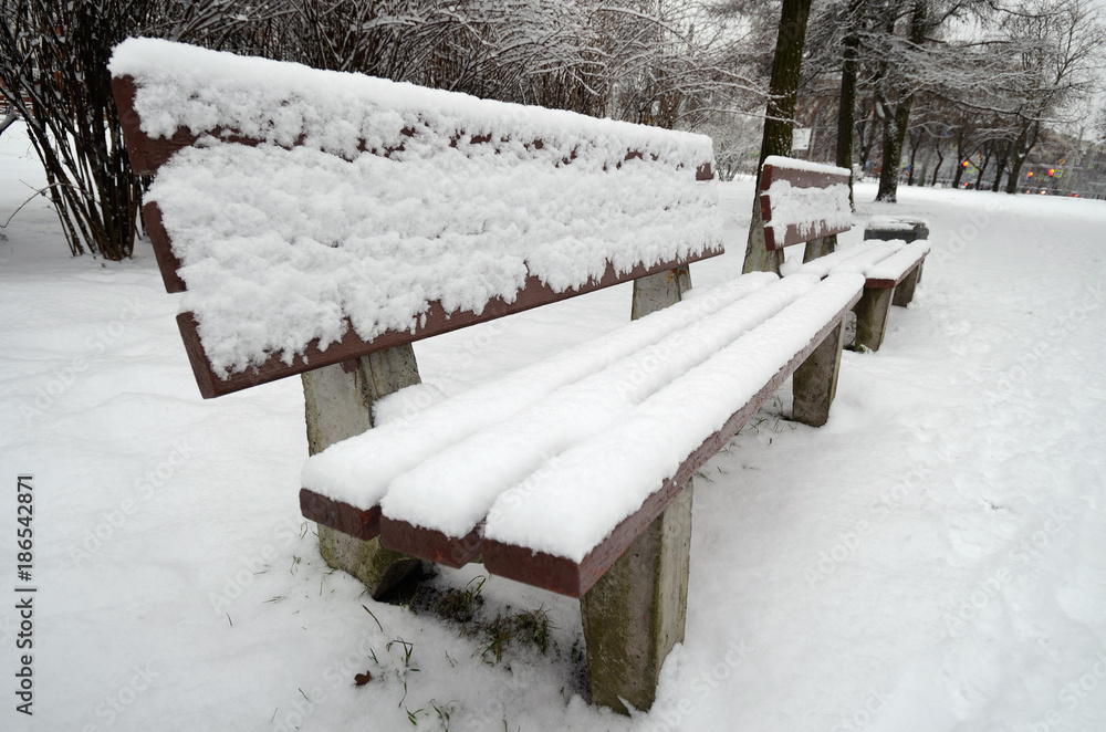 In a city Park fell out of the snow. In a city Park fell out of the snow.