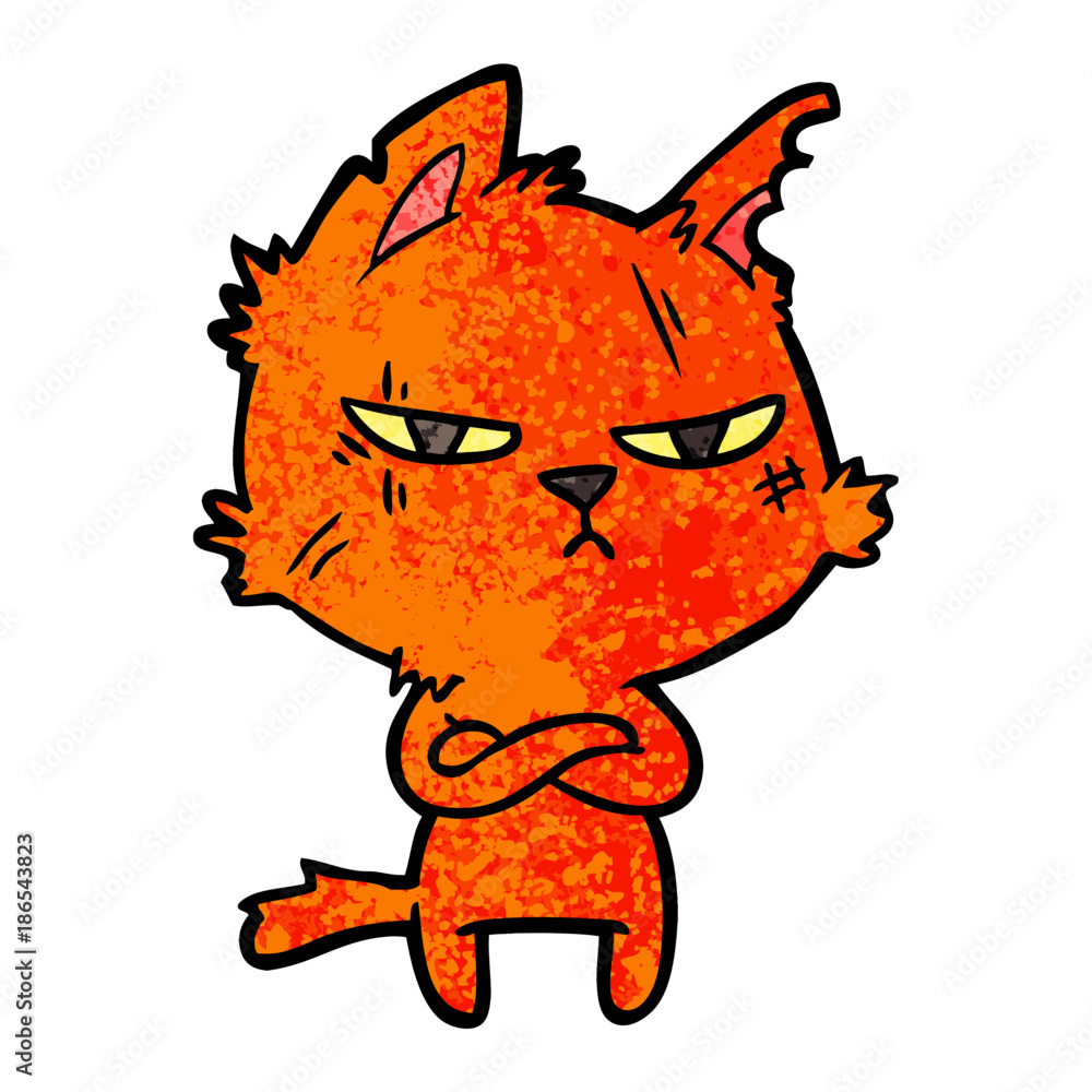 tough cartoon cat folding arms tough cartoon cat folding arms