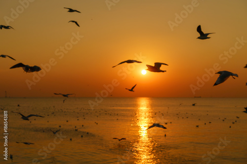 Group of silhouette seagulls flying over the sea on twilight sky at sunset