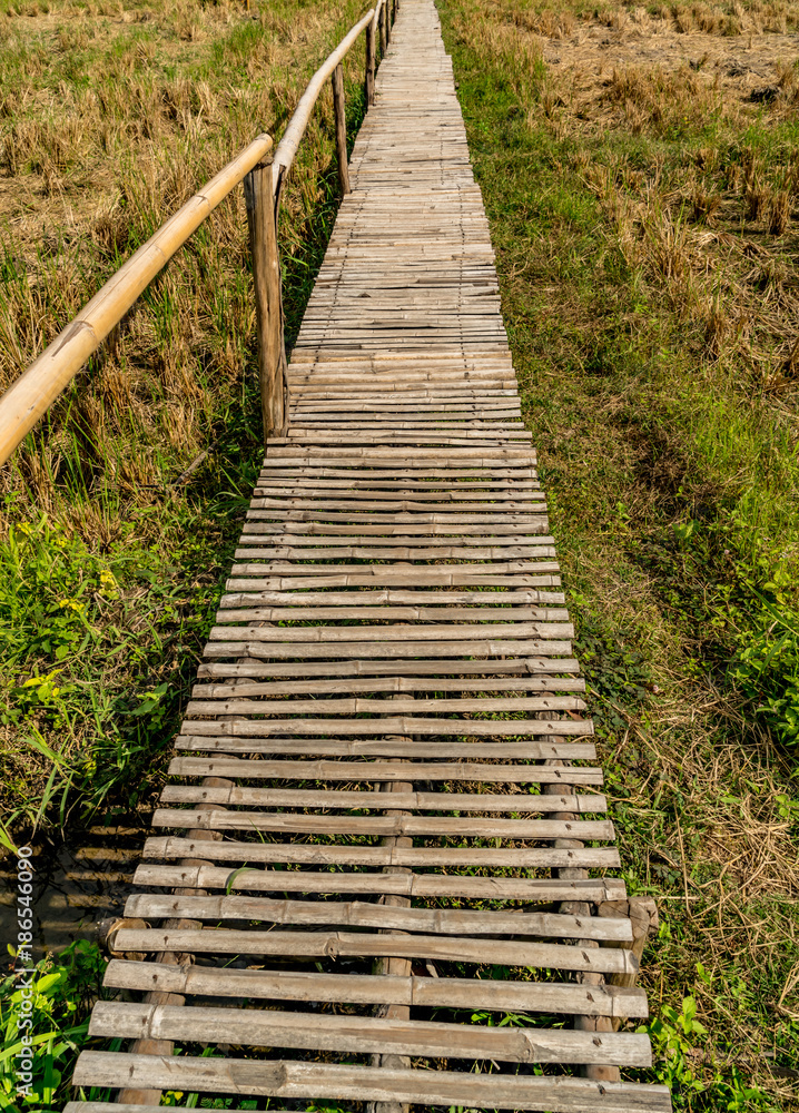 Bamboo footbridge Bamboo footbridge