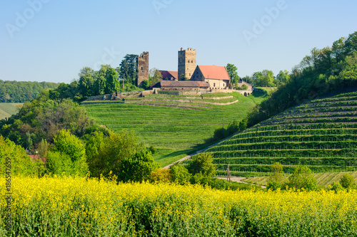 Burg in Brackenheim-Neipperg photo