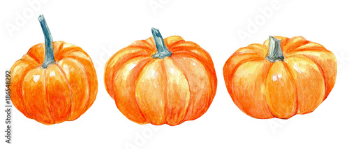Pumpkins  watercolor clipart harvest fall autumn Halloween holidays Thanksgiving vegetables and fruits collection food  