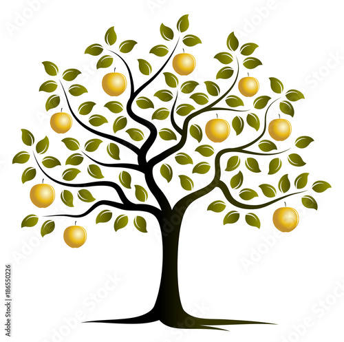 golden apple tree
