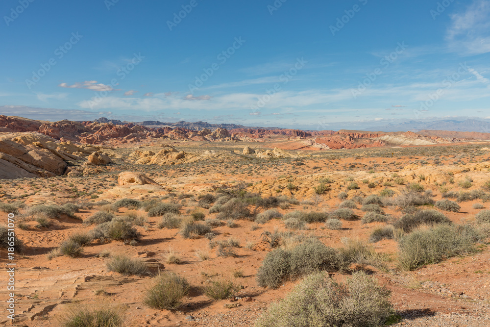 Scenic Valley of Fire Landscape