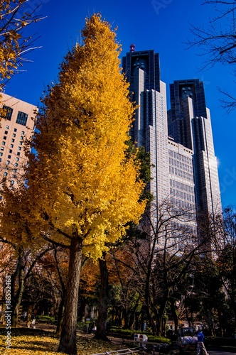 Wallpaper Mural Tokyo autumn Torontodigital.ca
