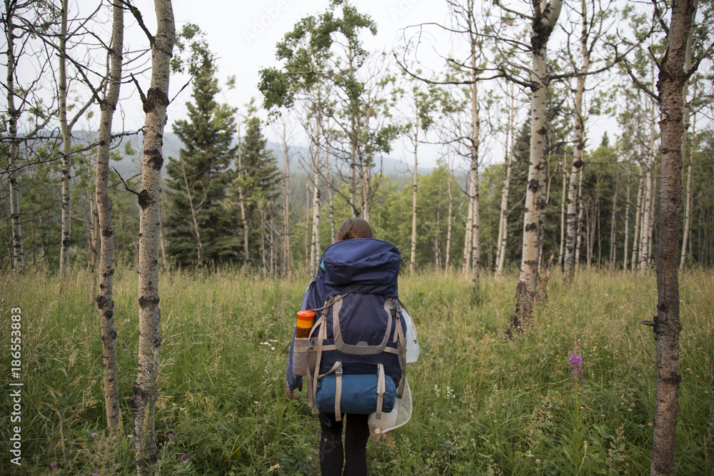 Rear view of woman with backpack standing on field against sky Rear view of woman with backpack standing on field against sky