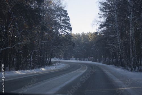 road in forest