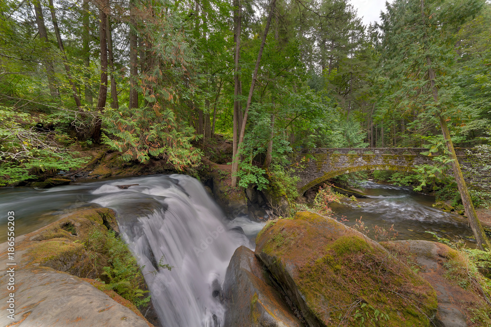 Obraz premium Beside the Waterfall in Whatcom Falls Park Washington State USA