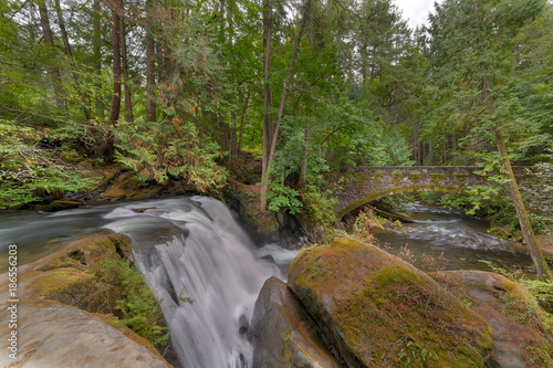 Beside the Waterfall in Whatcom Falls Park Washington State USA