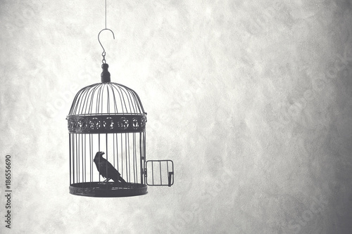 Tablou canvas bird inside birdcage