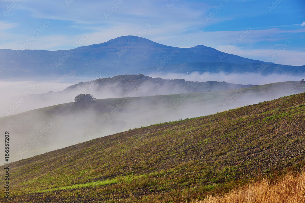 Fototapeta premium Landscape of San Quirico d'Orcia, Tuscany, Italy