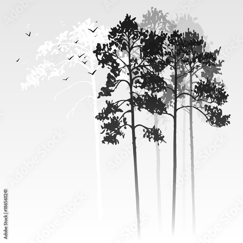 vector landscape with pine trees