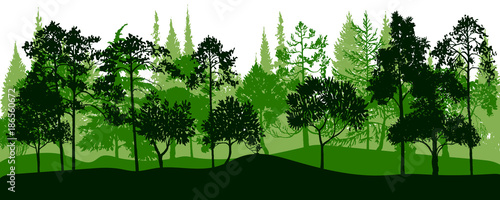 vector landscape with pine trees
