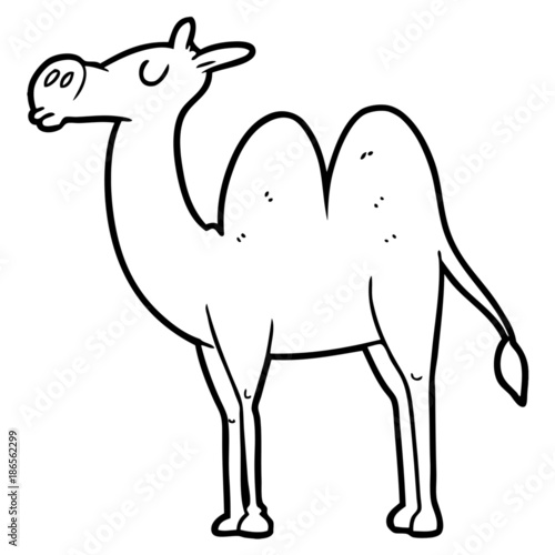cartoon camel