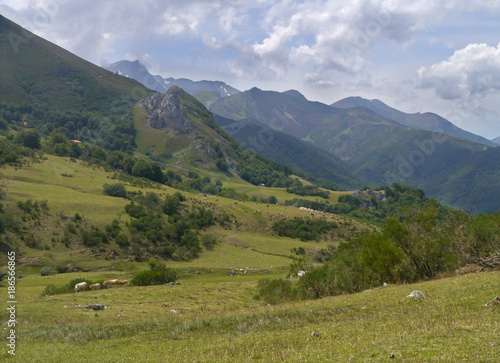 Green slopes in the Picos of Asturias