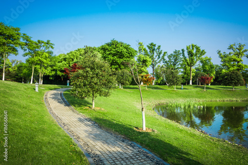 nature outdoor park and street road footpath photo
