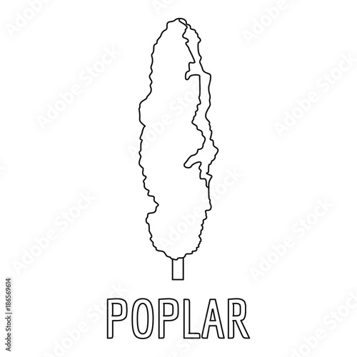 Poplar icon. Outline illustration of poplar vector icon for web