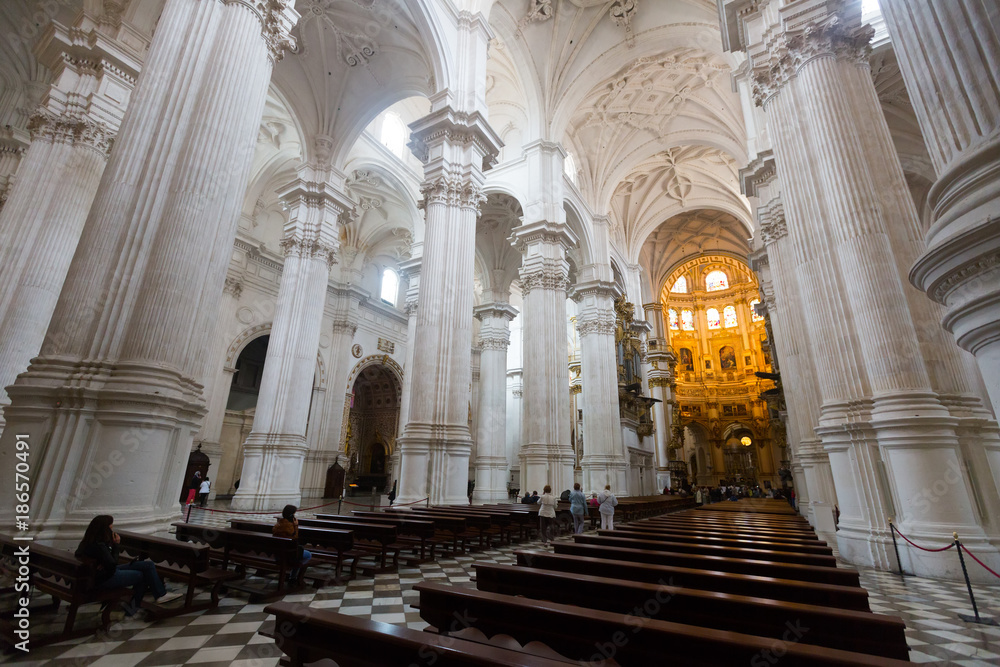 nterior of   Cathedral of the Incarnation at Granada. Andalusia,  Spain