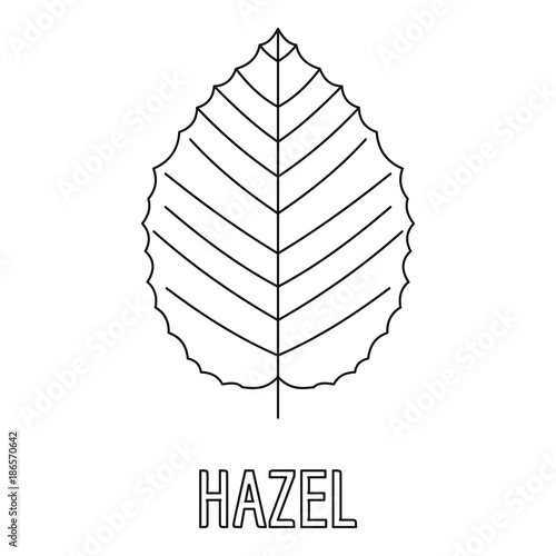 Hazel leaf icon. Outline illustration of hazel leaf vector icon for web