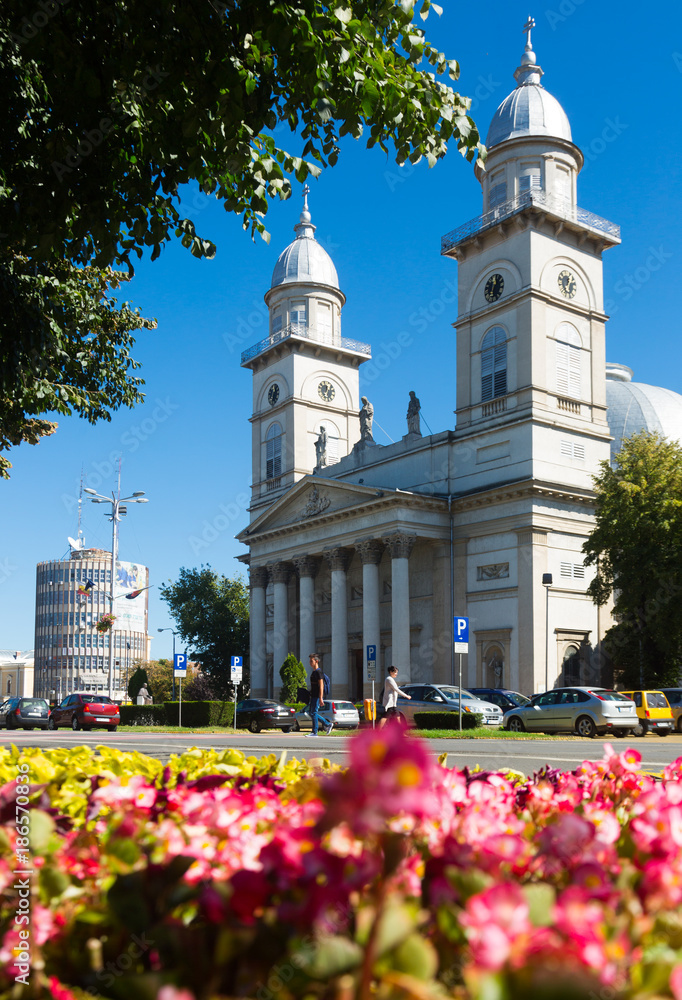Roman Catholic Cathedral in Satu Mare