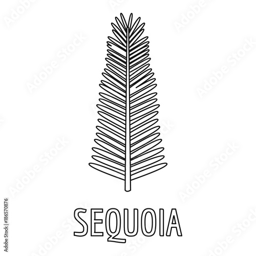 Sequoia branch icon. Outline illustration of sequoia branch vector icon for web