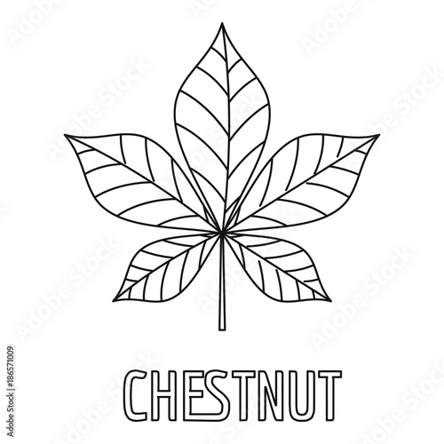 Chestnut leaf icon. Outline illustration of chestnut leaf vector icon for web