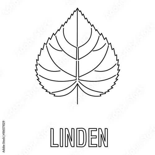 Linden leaf icon. Outline illustration of linden leaf vector icon for web