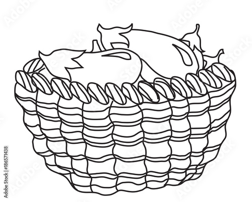 Баклажаны в корзине