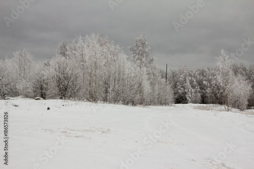 beautiful snow-covered trees on a frosty winter day © Dmitrii