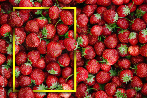 Fruit background, lots of strawberries, top view, white frame. Healthy food, fresh natural fruits, berries. photo