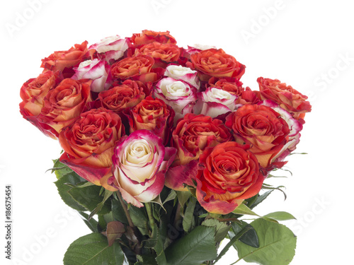 bouquet of beautiful roses