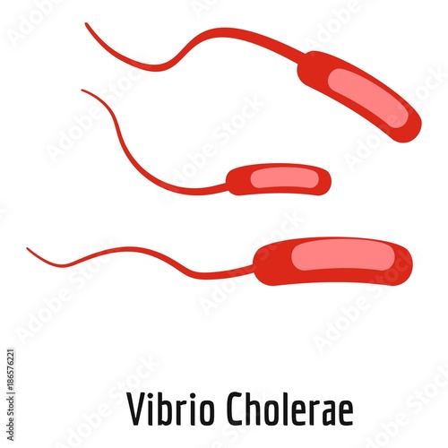 Vibrio Cholerae icon. Cartoon illustration of vibrio cholerae vector icon for web. photo