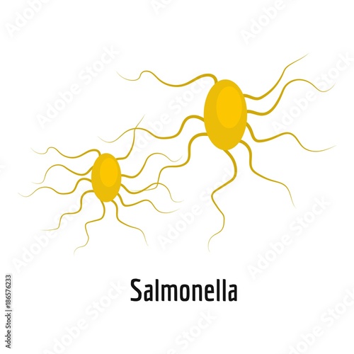 Salmonella icon. Cartoon illustration of salmonella vector icon for web.