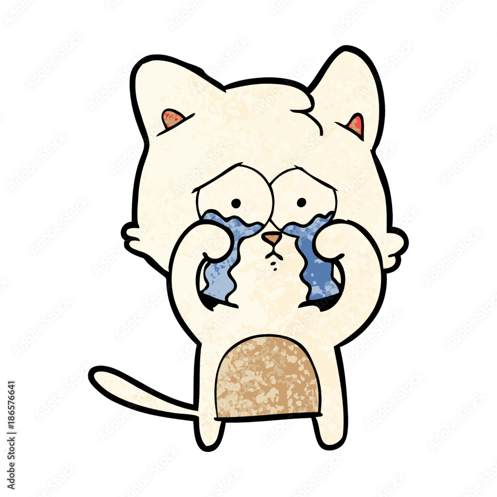 cartoon cat cartoon cat