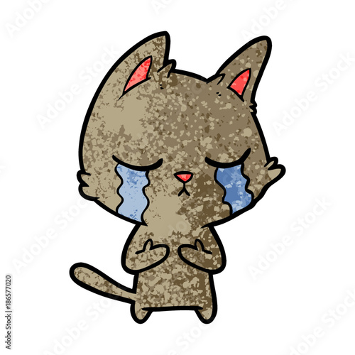 crying cartoon cat