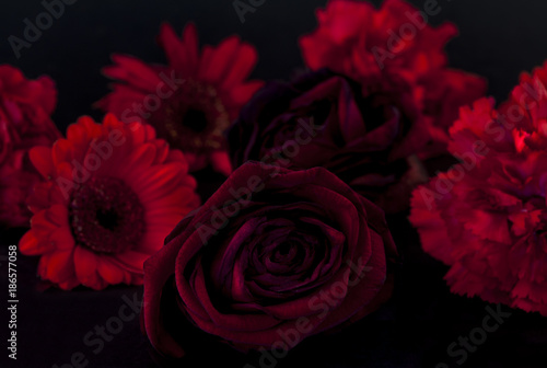 Red flowers on Black background