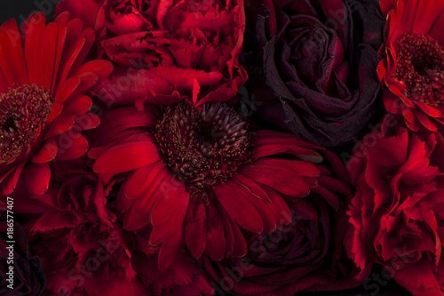 Fotografía Red flowers on Black background