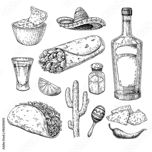 Mexican cuisines drawing. Traditional food and drink vector illu