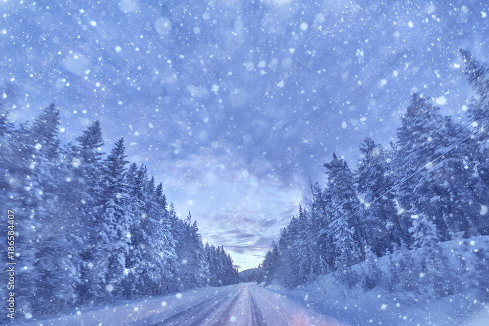Winterroad in pine forest at sunrise during snowfall Winterroad in pine forest at sunrise during snowfall