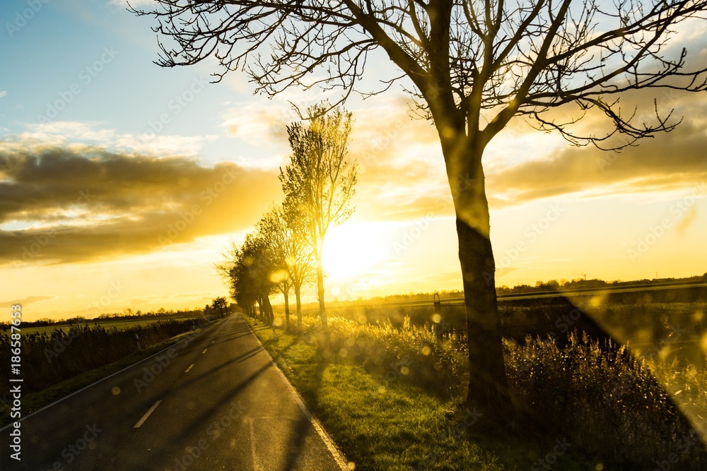 Fototapeta premium Sonnenuntergang neben der Strasse
