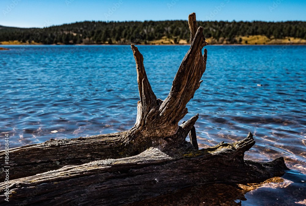 Driftwook Lake