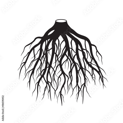 Black Roots Tree. Vector Illustration.