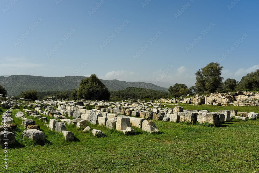 Building pieces lying on a geeen field in Antique Xanthos
