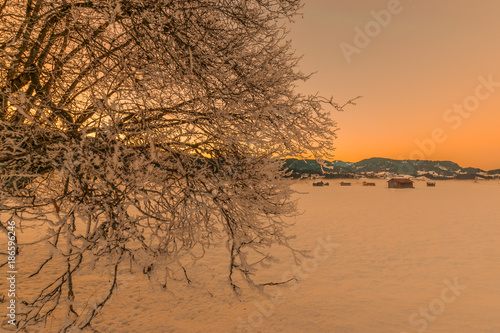 ein schneebedeckter Baum vor dem Hintergrund eines Bergdorfes mit der untergehenden Sonne