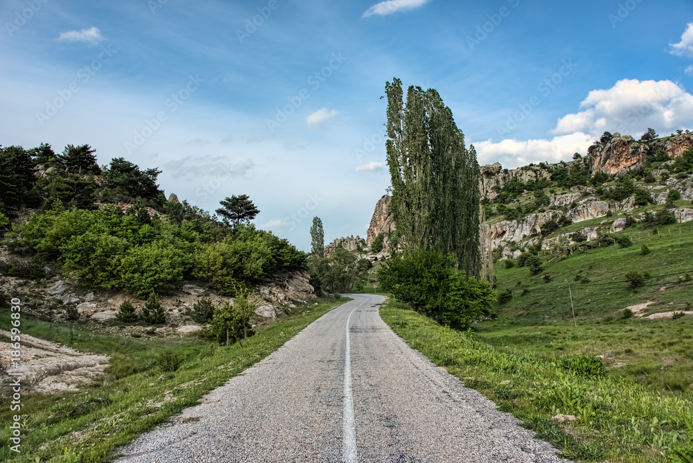 Asphalt road leading into a green landscape