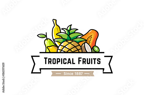 Tropical Fruits Vintage Banner Logo Design Symbol Illustration