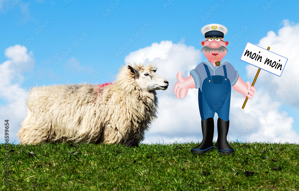 Fototapeta Moin, marynarz z tarczą i owcami we Fryzji na grobli, pozdrowienia z Dolnego Niemiec w północnych Niemczech